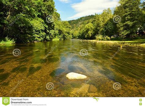 Beautiful Summer Landscape With River Forest Sun And