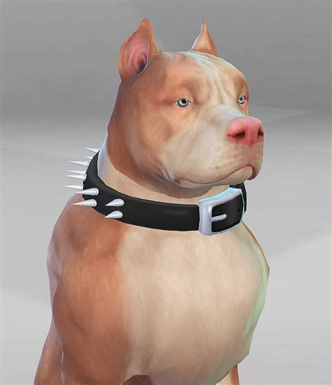 Simsworkshop My Pitt Bull By Cah3ms • Sims 4 Downloads