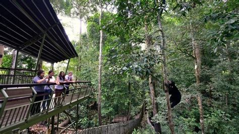 Panama Rainforest Discovery Center In Panama