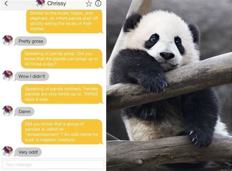 Imgur User Msang12321 Tries To Woo Girl On Tinder By Sending Her Panda