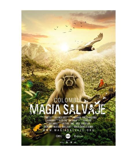 Dream about romantic date nights and confusing love stories. The Best Nature Documentaries on Netflix Will Make You ...