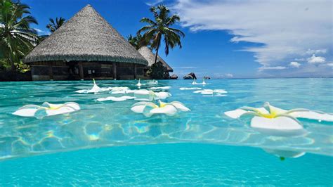 Tropical Beach Screensavers And Wallpaper (67+ images)