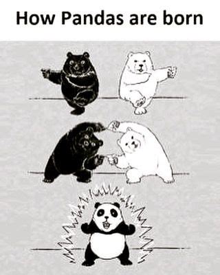 Ever since fusion was introduced in dragon ball, we have seen some of the best combinations and designs that made our eyes light up with excitement. #pandas #panda #pandaexpress #bear #fusion #dbz #memes #fusiondance | Dbz memes, Dragon ball z ...