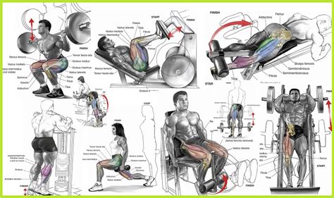 The Top 10 Leg Exercises All