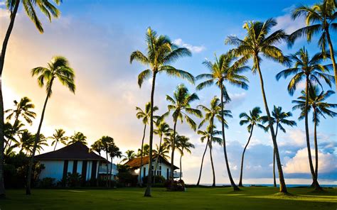 Hawaii Kauai Beautiful Scenery Palm Tree Summer House Wallpaper
