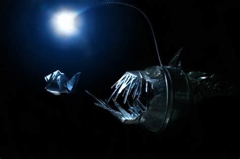 10 Facts About Angler Fish Lamps Warisan Lighting