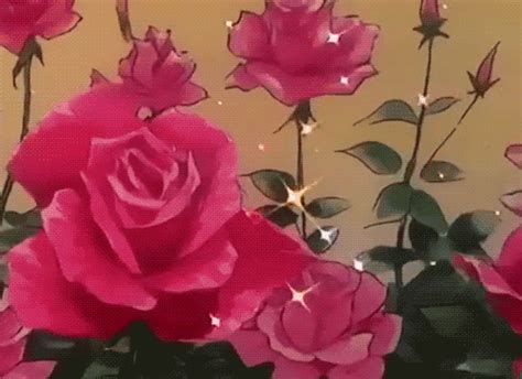 Lindos Gifs De Flores Imagens De Flores Gifs Eco Br