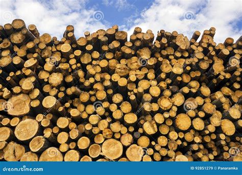 Stacks Of Woods Stock Image Image Of Industrial Environment 92851279