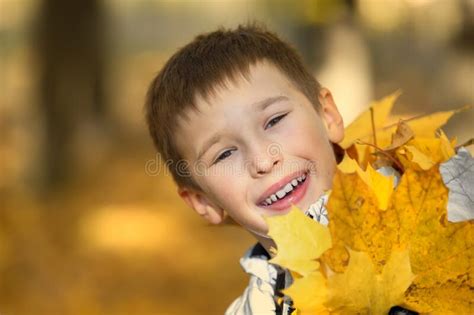 Autumn Portrait Of A Child In Autumn Yellow Leaves Stock Photo Image