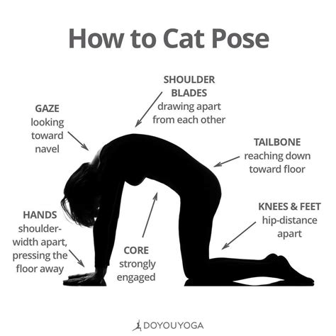 Pin By Kuukkik On Ashtanga Yoga How To Start Yoga Online Yoga Cat Yoga