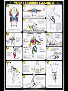 Weight Training Flexibility Workout Stretches For Flexibility