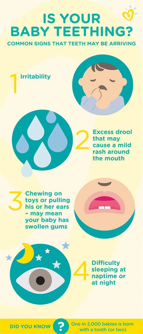 What Are The Symptoms Of Baby Teething Pampers