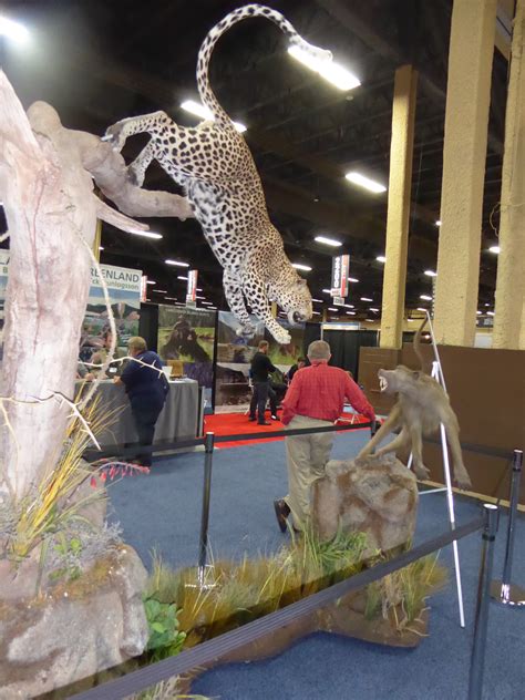 Taxidermy At The Sci Las Vegas 2017