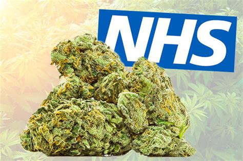 Cannabis Uk Medicinal Weed Legal On Nhs Prescription From Today