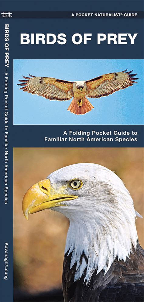 Birds Of Prey Pocket Naturalist Guide