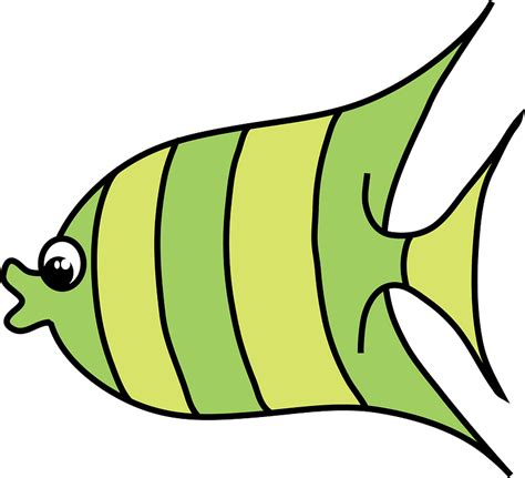 Cartoon Fish Clipart Free Download Transparent Png Creazilla