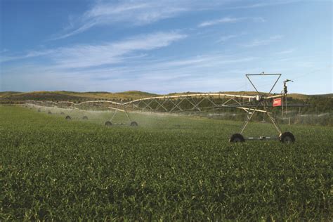 Maximize Your Field With An Advanced Lateral Move Irrigation Sprinkler