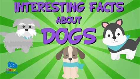Interesting Facts About Dogs Educational Video For Kids Youtube