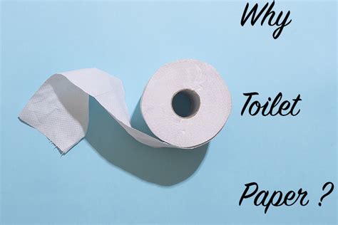 Why Toilet Paper The Spud