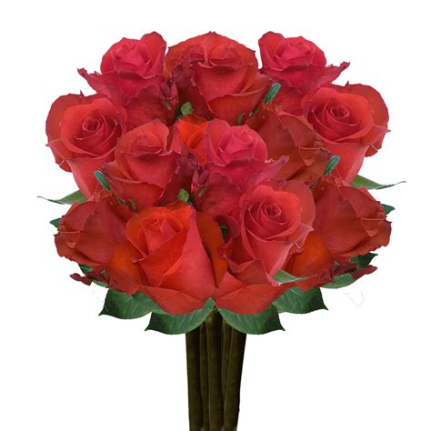 Couture service within this collection, find our grandest and most luxurious arrangements and dried roses. Blood Red Roses Long Stem Send Live Roses Online | GlobalRose