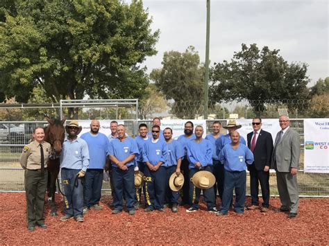 Pleasant Valley State Prison Equine Care Program Thoroughbred
