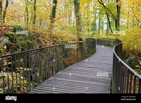 Curved Pedestrian Bridge In The Felsenmeer Nature Reserve Deciduous