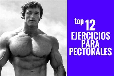1.1 push up con apoyo en sillas. Los 12 mejores ejercicios para explotar los pectorales ...