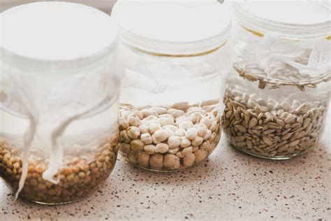 fermenting grains beans nuts and seeds — sofie van kempen