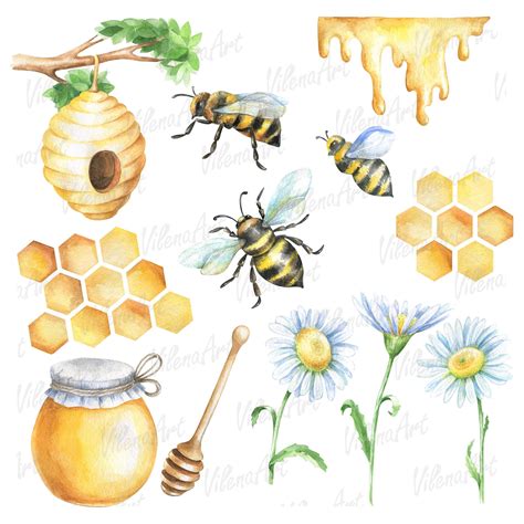 Watercolor Bees And Honey Clipart Png Digital Clip Art Hand Painted Bee
