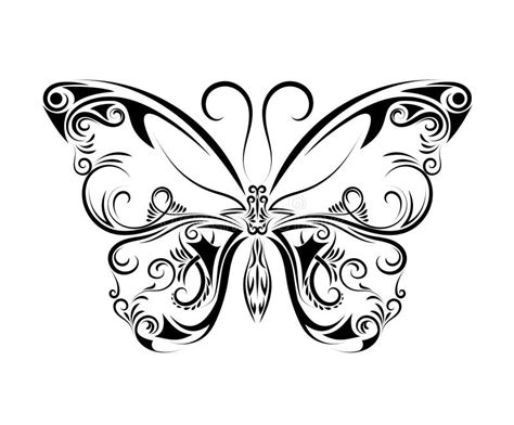 Mariposa Blanco Y Negro Hermosa Aislada En Blanco Ilustración del Vector Ilustración de animal