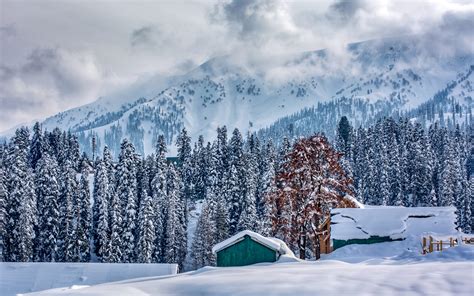 Download Imagens Inverno Paisagem De Montanha Floresta Neve Alpes