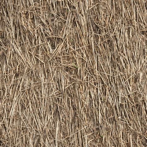 Straw Texture Seamless