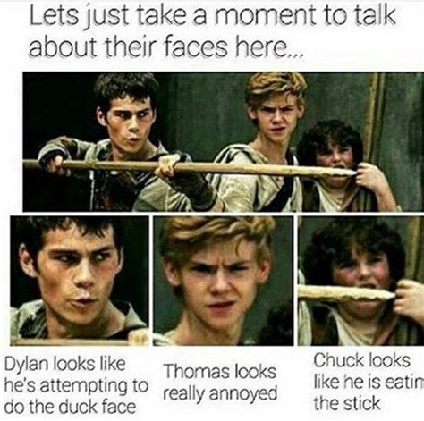 Lets Take A Moment To Talk About This Maze Runner Funny Maze
