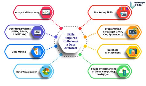 Skills Required To Become A Data Architect Leverage Edu