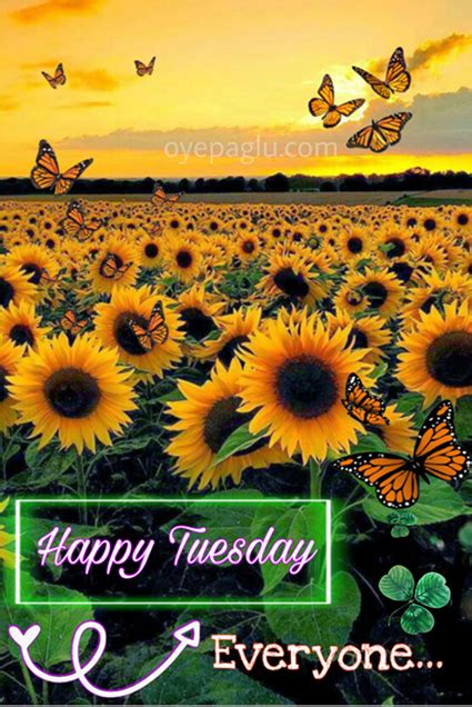 Good Morning Tuesday Images Free Download Dp Size Pic
