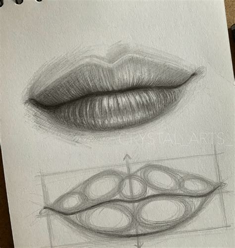 Drawing the lips from any angle involves first understanding the shapes. How to draw mouths like a pro step by step? in 2020 | Lips ...