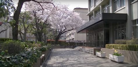 10 Japanese High Schools That Accept Foreign Students