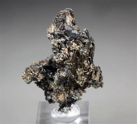 Quebul Fine Minerals Archive Silver Acanthite