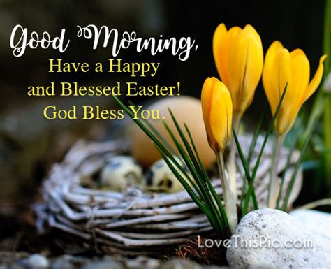 Have A Happy And Blessed Easter Pictures Photos And Images For