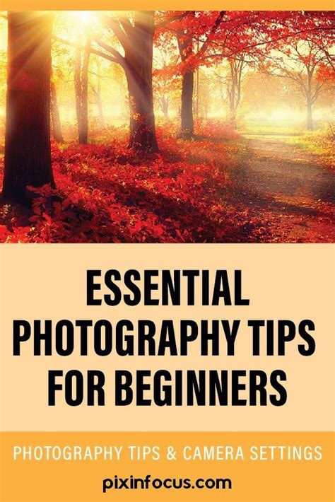 Top 20 Best Photography Tips For Beginners Photography Tips For