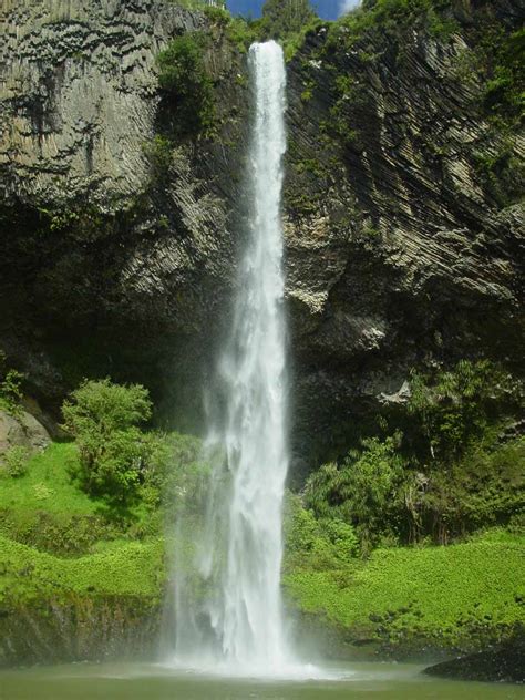 Bridal Veil Falls Wairenga Leaping Waterfall Near Raglan