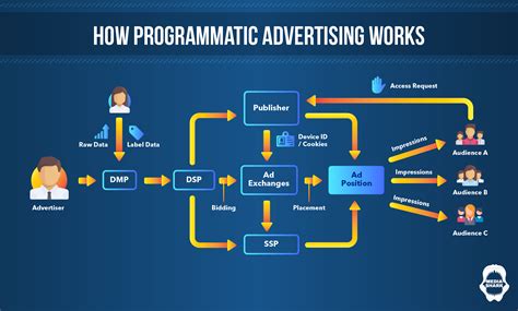 Programmatic Advertising Infographic