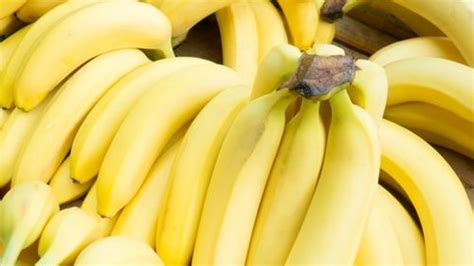 Bananas Could Go Extinct Iflscience