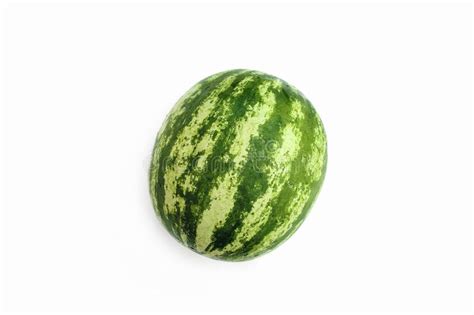 125 Oval Watermelon Isolated White Stock Photos Free And Royalty Free