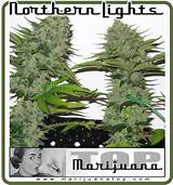 Best Marijuana Seeds Images