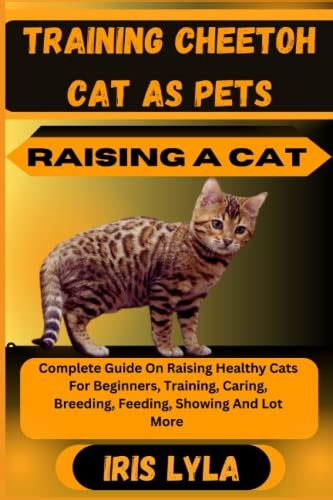Training Cheetoh Cat As Pets Raising A Cat Complete Guide On Raising