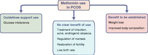 Metformin Therapy For The Reproductive And Metabolic Consequences Of