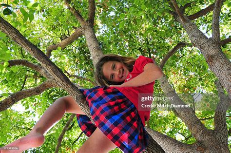 Barefoot Girl In Tree High Res Stock Photo Getty Images