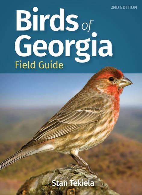 Georgia Birds Identification Chart