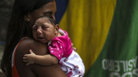 Zika Virus Brazil Says Emergency Is Over Bbc News